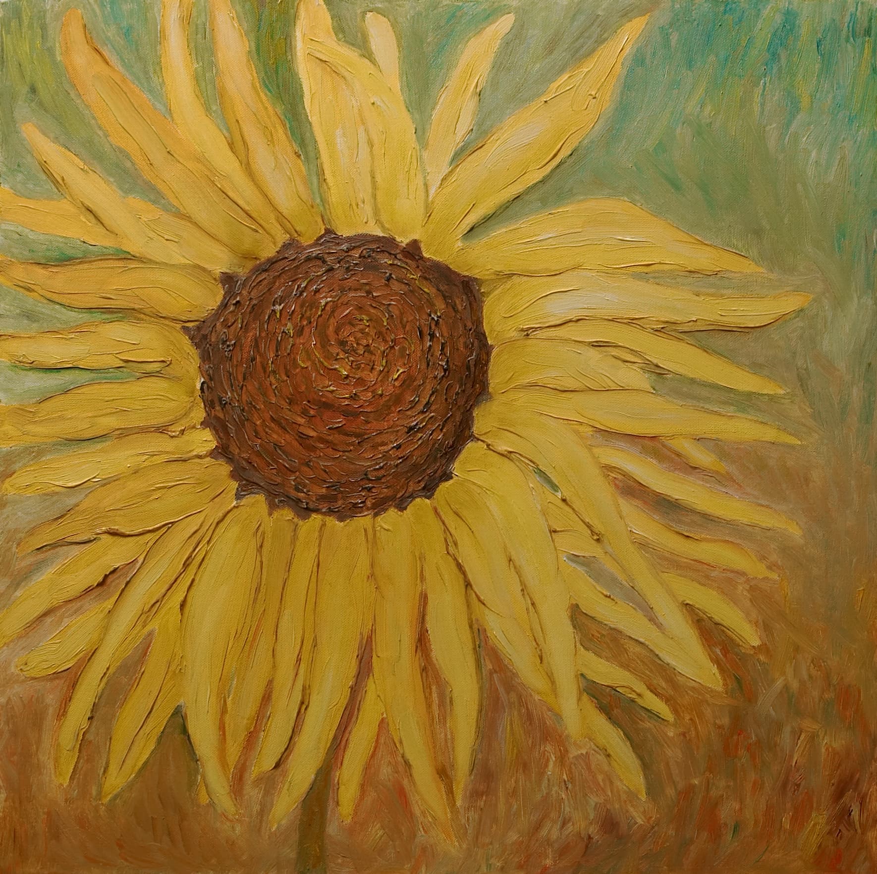 Słonecznik|olej na płótnie; zamalowane boki; wyraźna faktura, 60x60cm